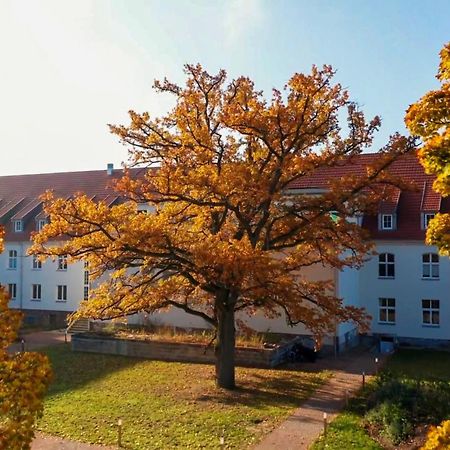 Parkresidenz Lychen, Ferienwohnung 8 Экстерьер фото