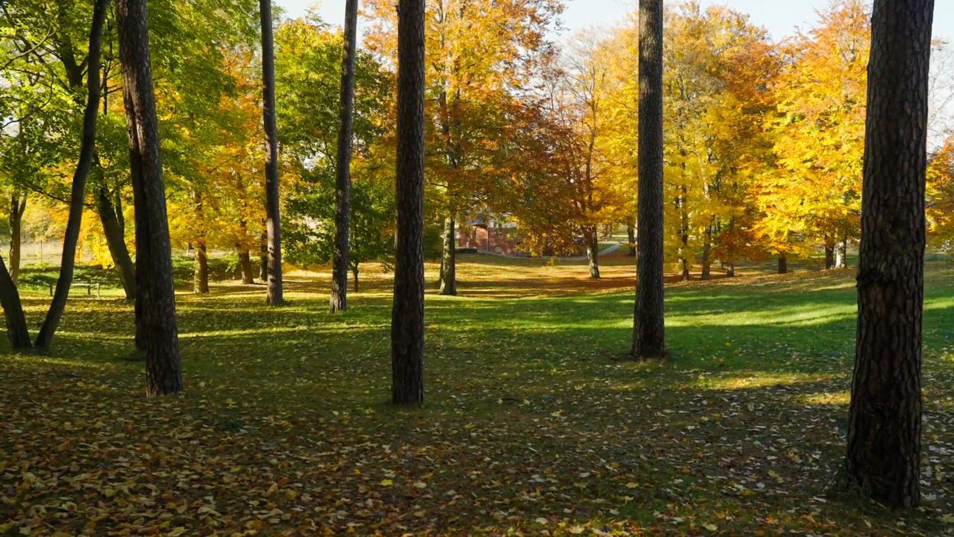 Parkresidenz Lychen, Ferienwohnung 8 Экстерьер фото